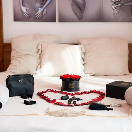 L'ecrin D'albi - - 1