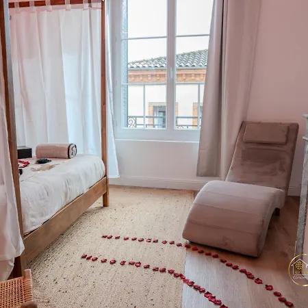 Apartment L'ecrin D'albi - - 1