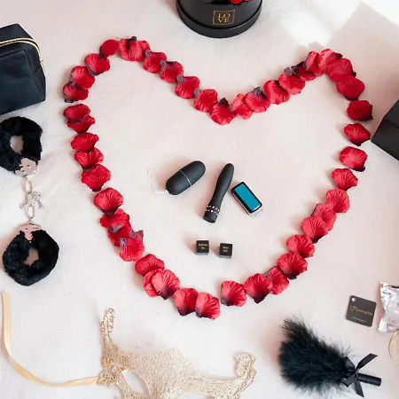 L'ecrin D'albi - - 1 アルビ