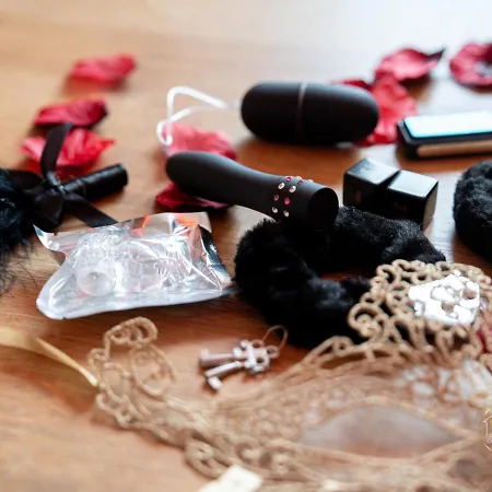 アパート L'ecrin D'albi - - 1 アルビ