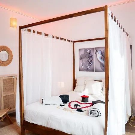 L'ecrin D'albi - - 1