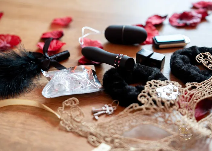 Apartment L'ecrin D'albi - - 1 Albi