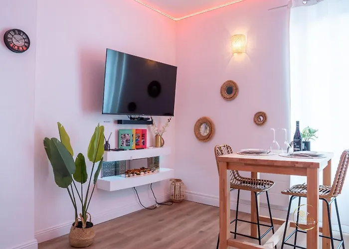 Apartment L'ecrin D'albi - - 1